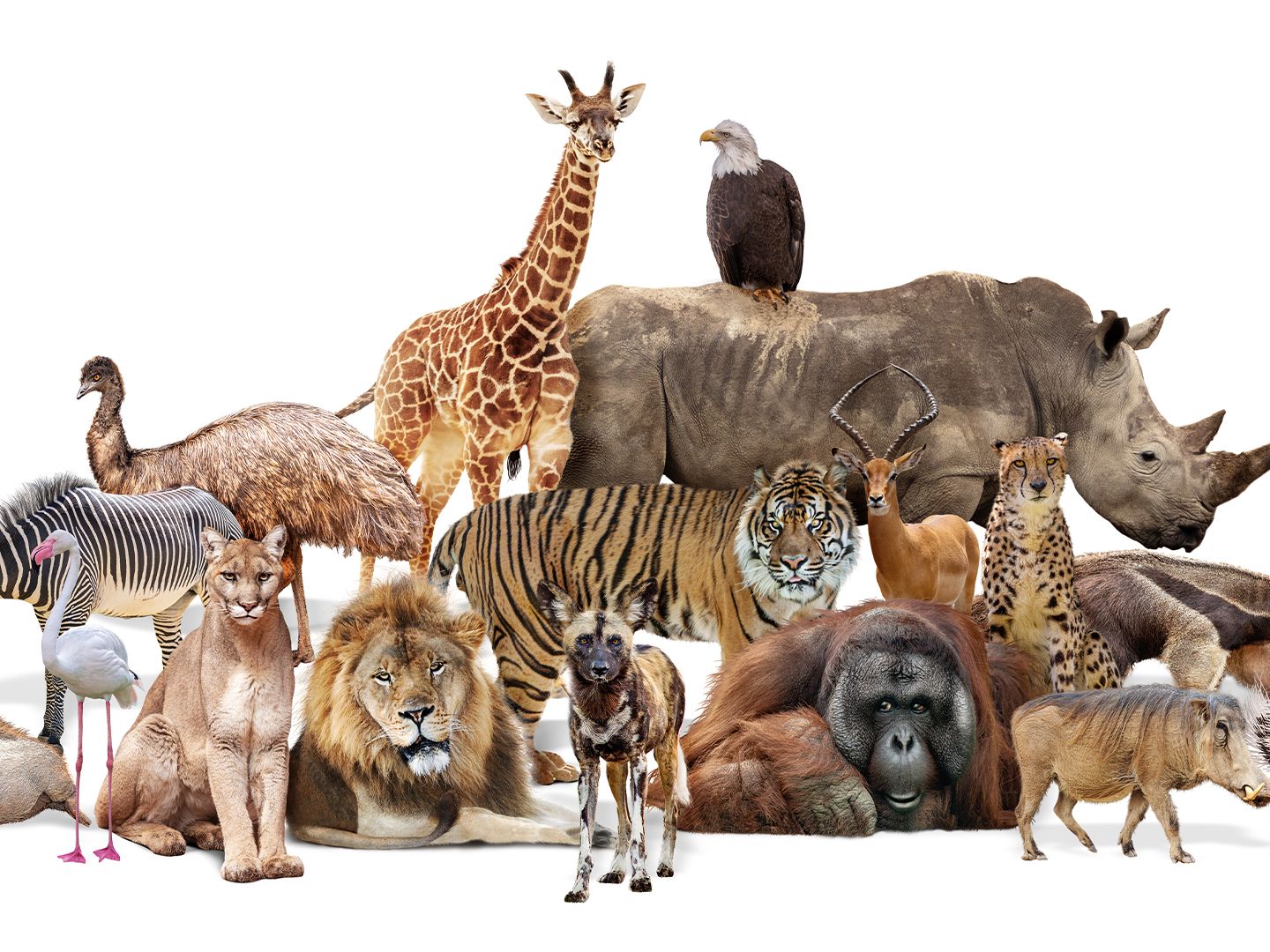 NYT Acrostic December 28, 2025